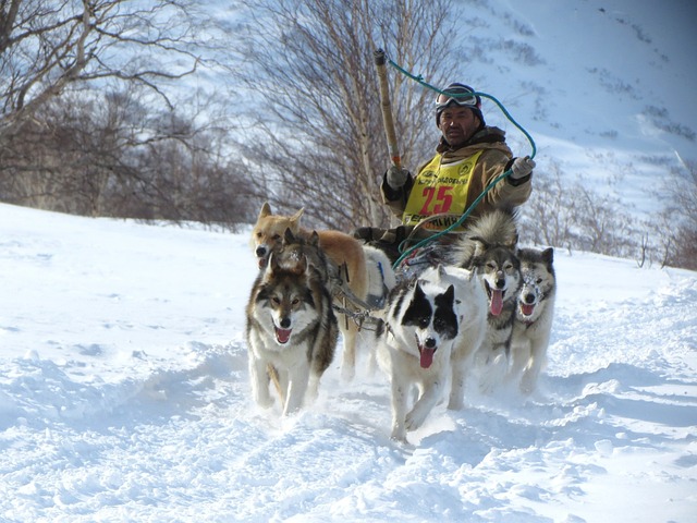 场冰雪盛典