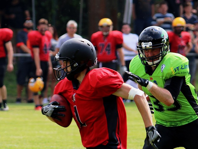 他在帶領國 他在帶領國