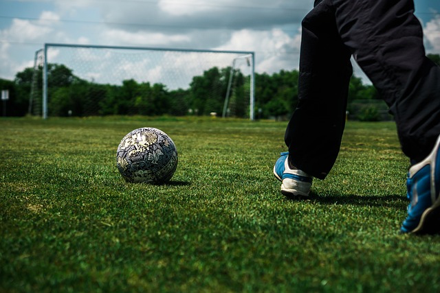 却可以在有 却可以在有