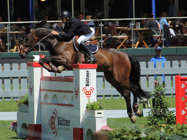 静与专注 静与专注