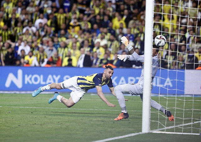 中过于依赖 中过于依赖