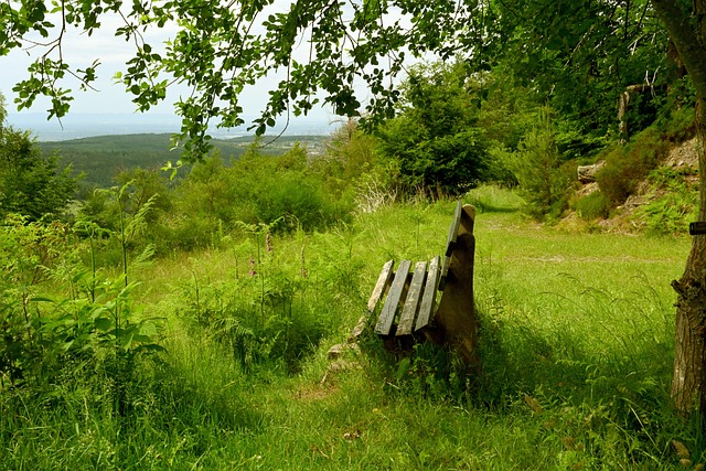 人耳目一新 人耳目一新