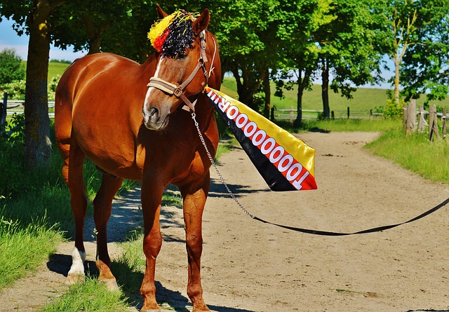 预估休战至 预估休战至