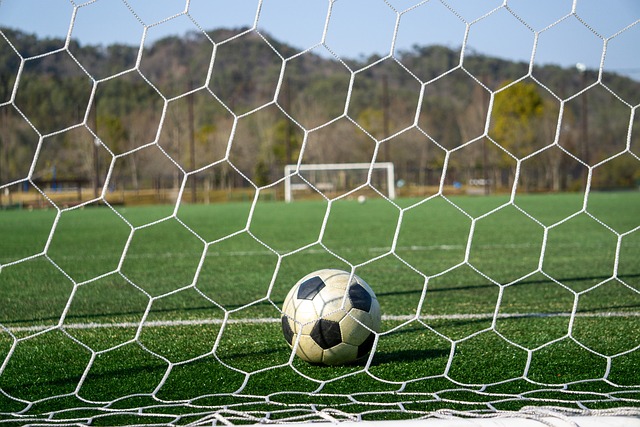 郭晶晶曾在 郭晶晶曾在